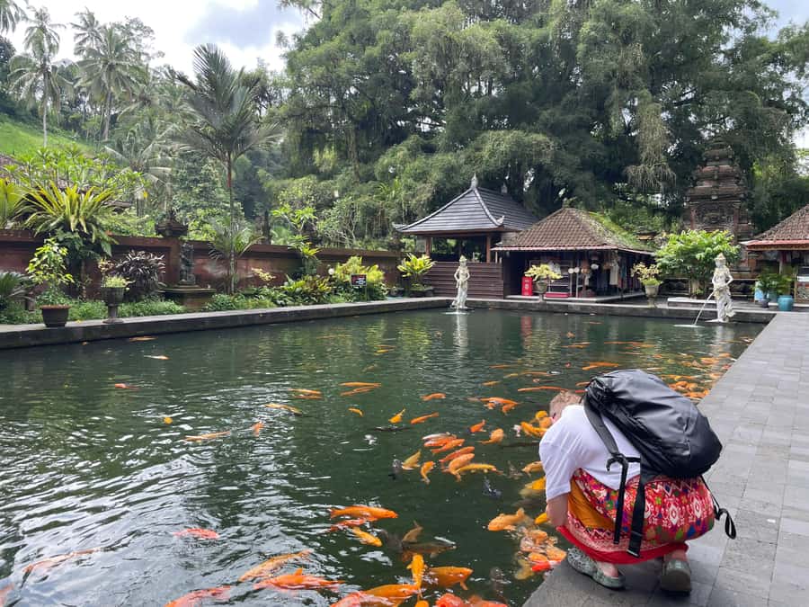 Bali: Tirta empul Temple, Rice terrace and Waterfall - Kanto Lampo and help with photos