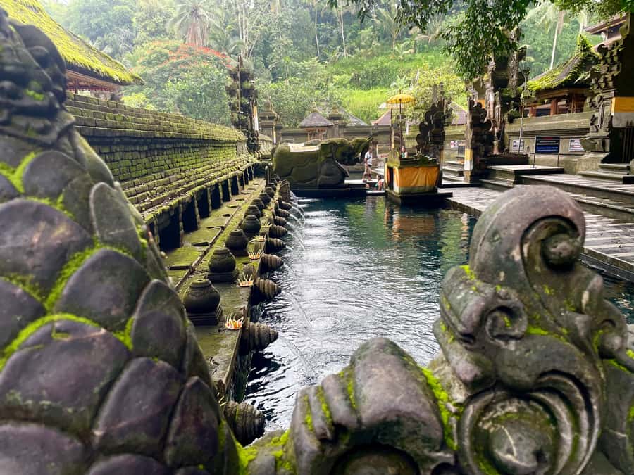 Bali: Tirta empul Temple, Rice terrace and Waterfall - Tegalalang Rice Terrace and the Bali swing stop