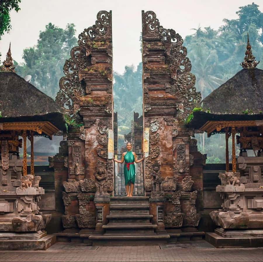 Bali Top's 3 Waterfalls - Temple And Rice Terrace - Tirta Empul: water, ritual, and a different pace