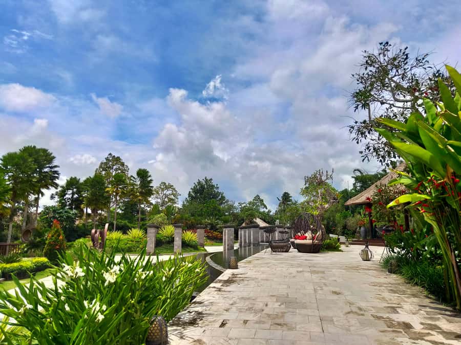Bali: Ubud, Monkey Forest, Ancient Temple, Waterfalls - Coffee tasting at Satria Agrowisata