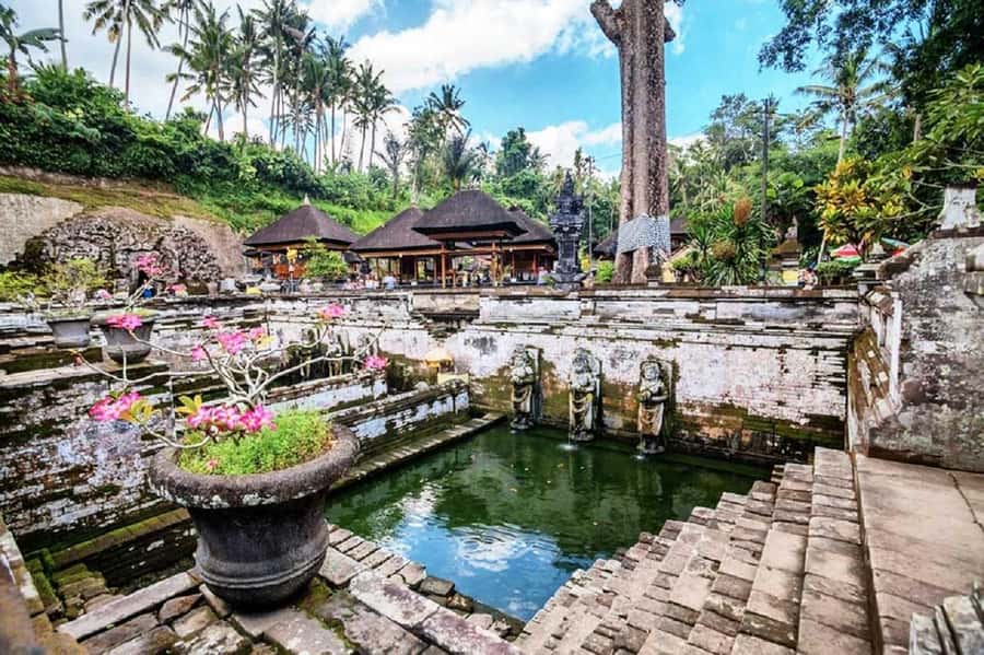 Bali: Ubud, Monkey Forest, Ancient Temple, Waterfalls - Sangeh Monkey Forest and its temple setting