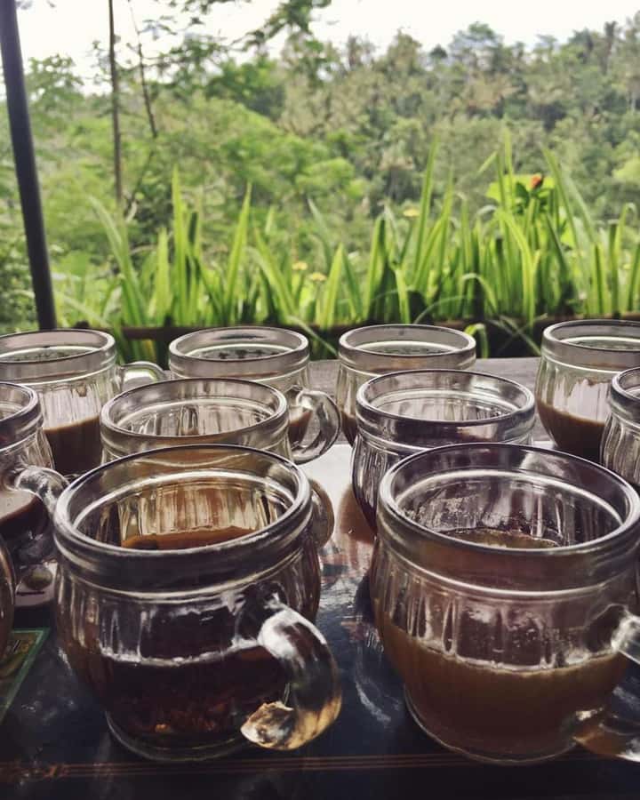 Bali ubud : monkey forest, waterfall , temple - Key points to know before booking