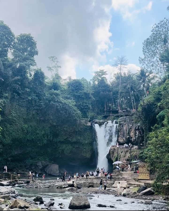Bali ubud : monkey forest, waterfall , temple - Coffee plantation and the Luwak question