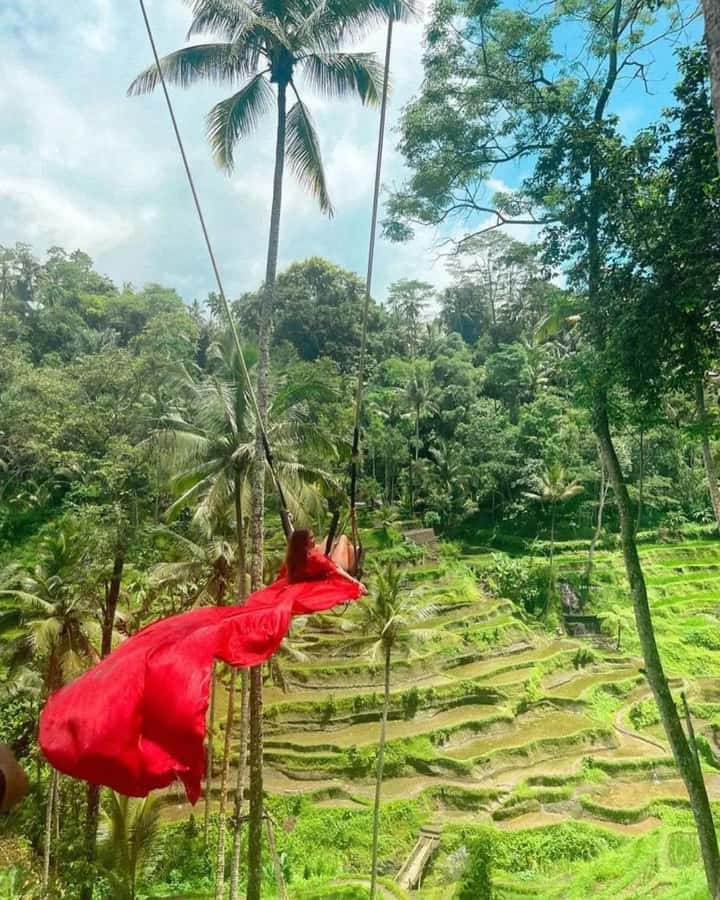 Bali ubud : monkey forest, waterfall , temple - Tegenungan Waterfall, a strong final stop