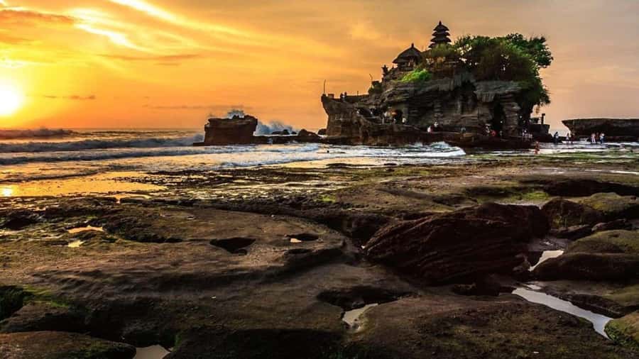 Bali: Ubud, Tegalalang, and Tanah Lot Temple Day Trip - Who will get the most from this tour?