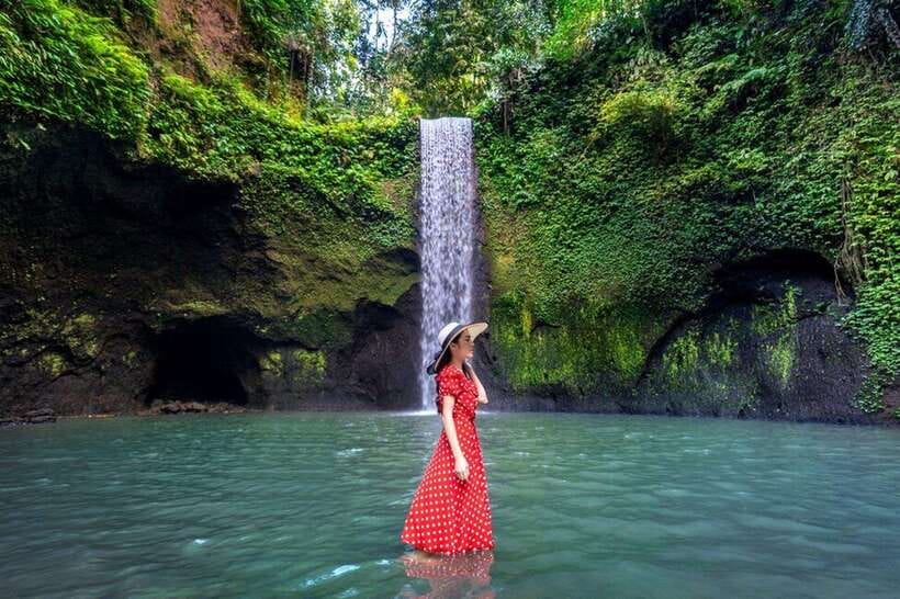 Bali: Ubud Tour with Tirta Empul Temple and Rice Terrace - A full Ubud day built around water
