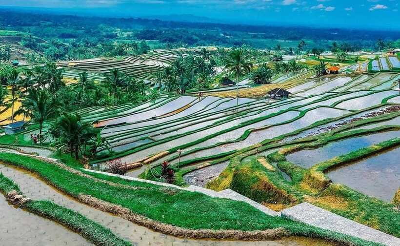 Bali : Ulun Danu Beratan Temple and UNESCO Rice Terrace Tour - Tanah Lot saves the most dramatic light for last