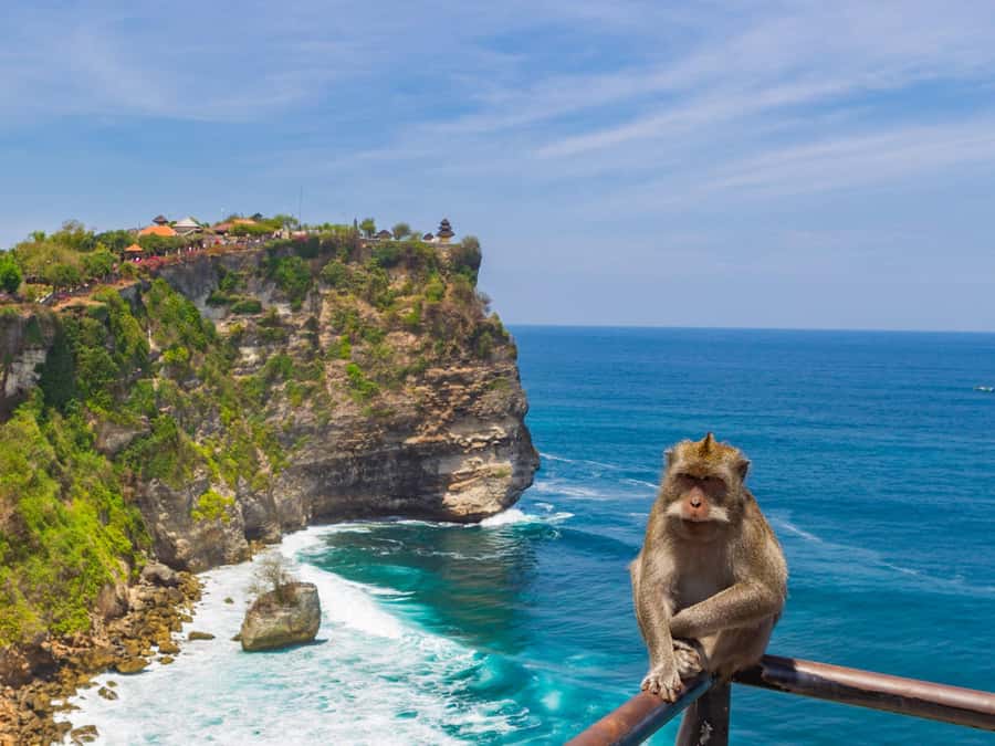 Bali: Uluwatu Temple, Kecak Dance, and Jimbaran Dinner Tour - Who should book this tour