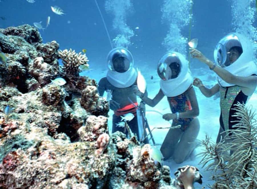 Bali: Underwater Sea Walk, Uluwatu Temple, and Kecak Dance - Who should book this experience?