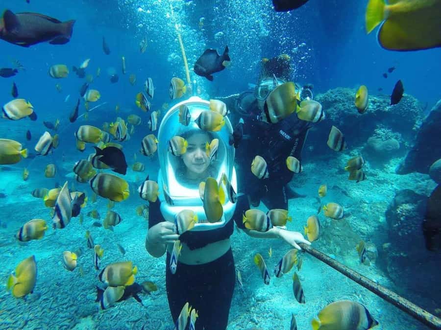 Bali: Underwater Sea Walk, Uluwatu Temple, and Kecak Dance - Should you book it?