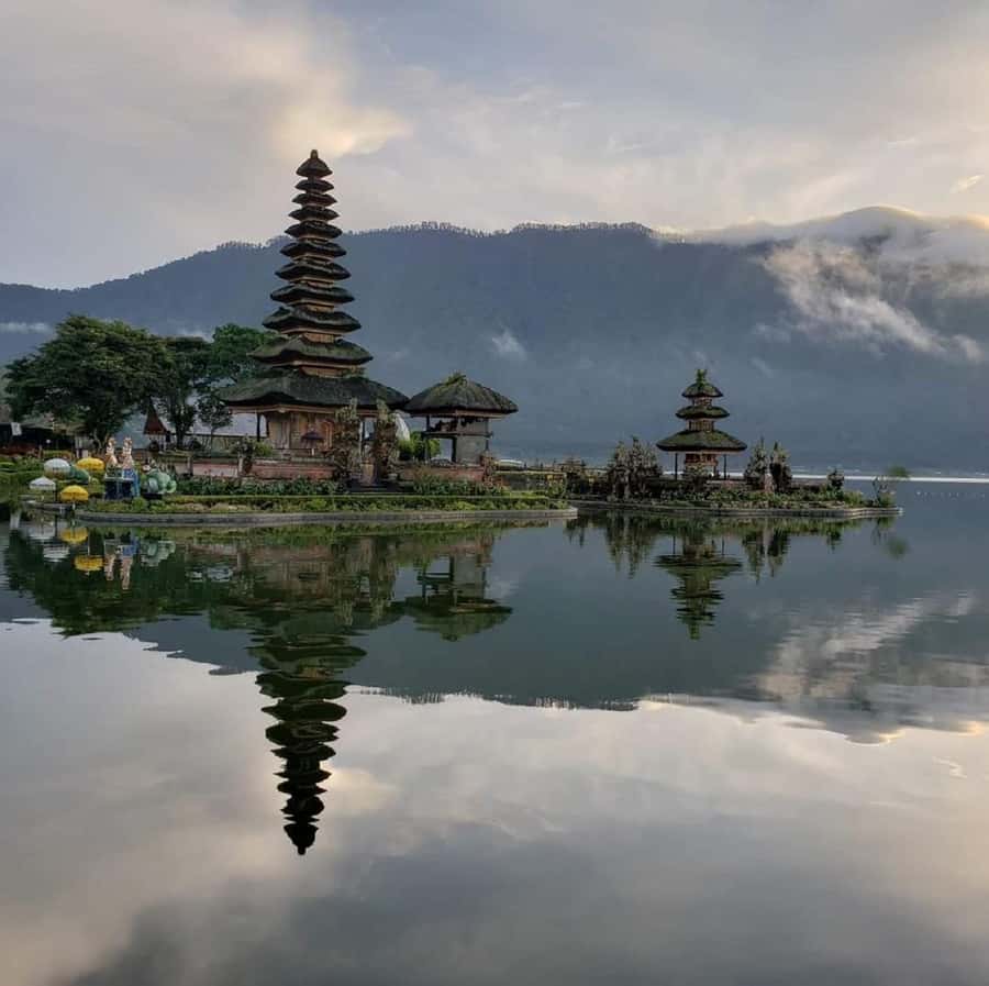 Bali: Waterfalls, Temples, and Rice Terraces Scenic Tour - What this Bali day tour is really like