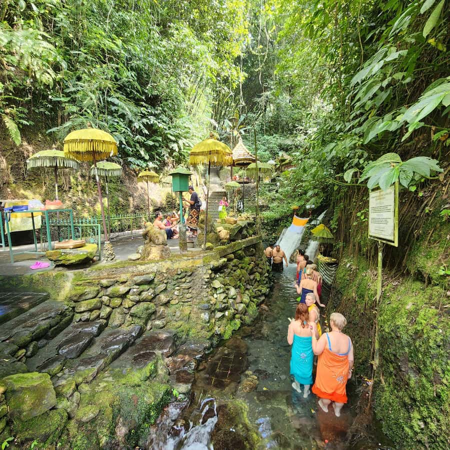 Balinese Purification at holy water temple with Local - Key points to know