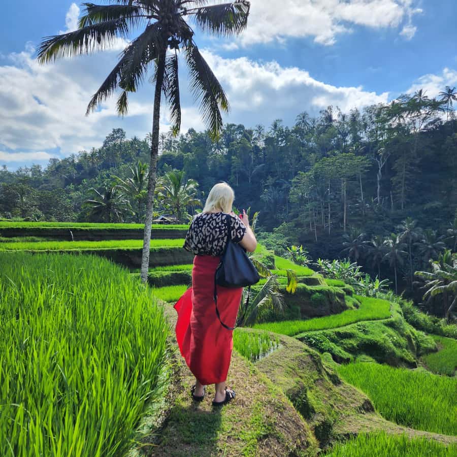 Balinese Purification at holy water temple with Local - The drive to Sebatu and the cultural briefing