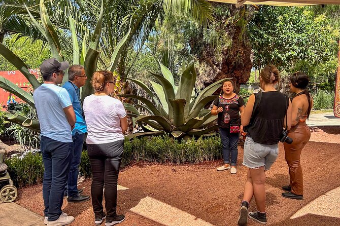Balloon Flight with Teotihuacan & Guadalupe Shrine Full day Tour - The obsidian workshop and tequila tasting