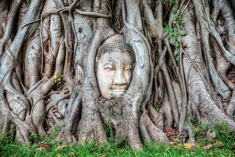 Bangkok: Ayutthaya & Lopburi Monkey Temple Private Day Trip - Why the private format can be worth $176