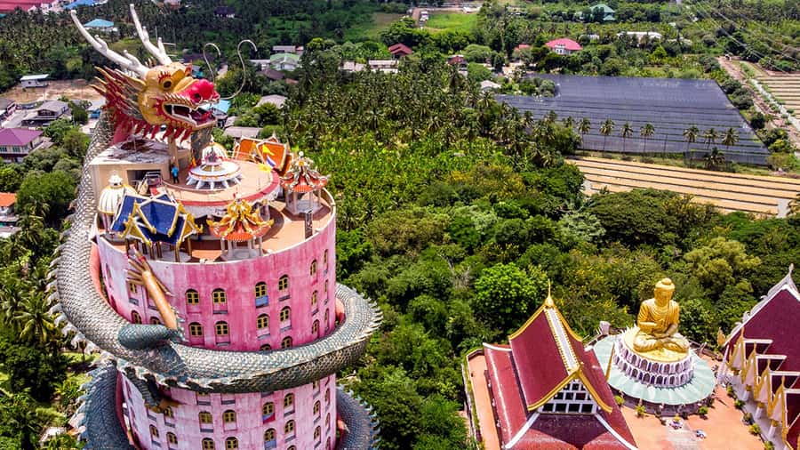 Bangkok: Dragon Temple, Roots Temple and Amphawa in spanish - Key points at a glance