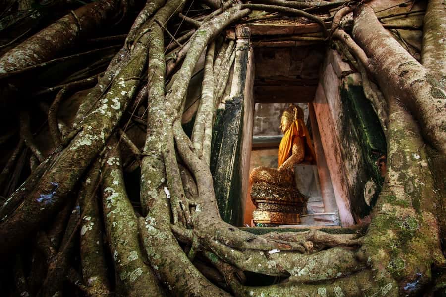 Bangkok: Dragon Temple, Roots Temple and Amphawa in spanish - Wat Bang Kung and the Buddha inside the roots