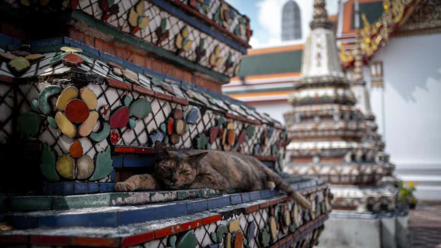 Bangkok: Grand Palace, Wat Pho and Wat Arun - What the driver and guide add
