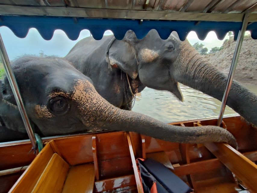 Bangkok: Private Trip to Ayutthaya Temples & Night Market - Who should book this Ayutthaya trip