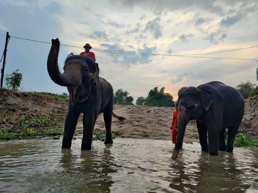 Bangkok: Private Trip to Ayutthaya Temples & Night Market - Wat Ratchaburana and the 15th-century royal setting
