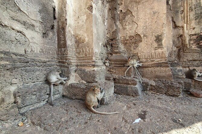 Bangkok to Ayutthaya Lopburi Monkey Temple, Largest Buddha Tour - Starting at Museum Siam at 8:00 am