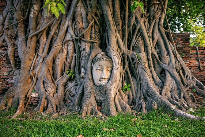 Bangkok to Ayutthaya: Temples & Local Candy One Day Tour - Roti Sai Mai: The Sweet Local Detail