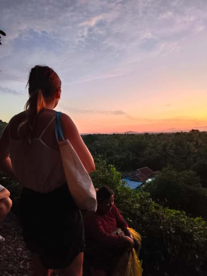 Battambang family tuktuk tour BambooTrain/Wat Banan/Bat cave - The Bat Cave at sunset