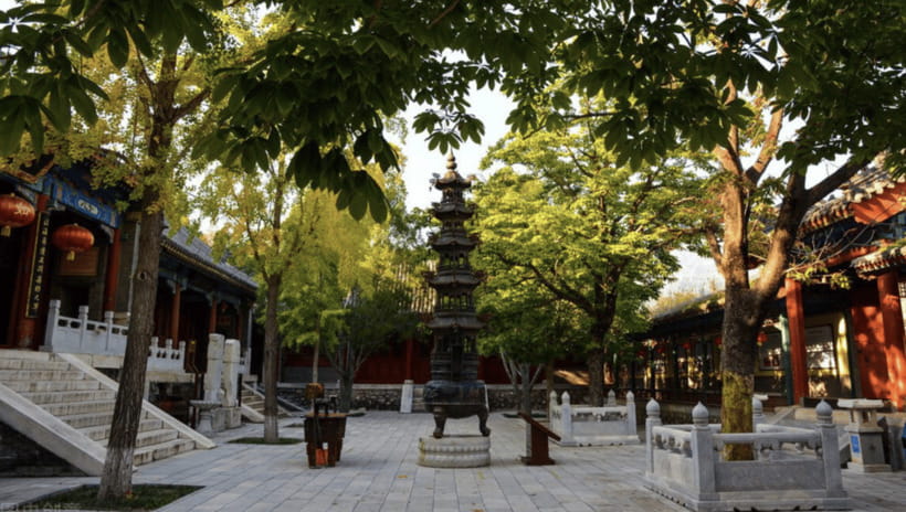 Beijing:Bullet Train Day Tour to Shaolin Temple&Martial Arts - Watching the Shaolin monks perform kung fu