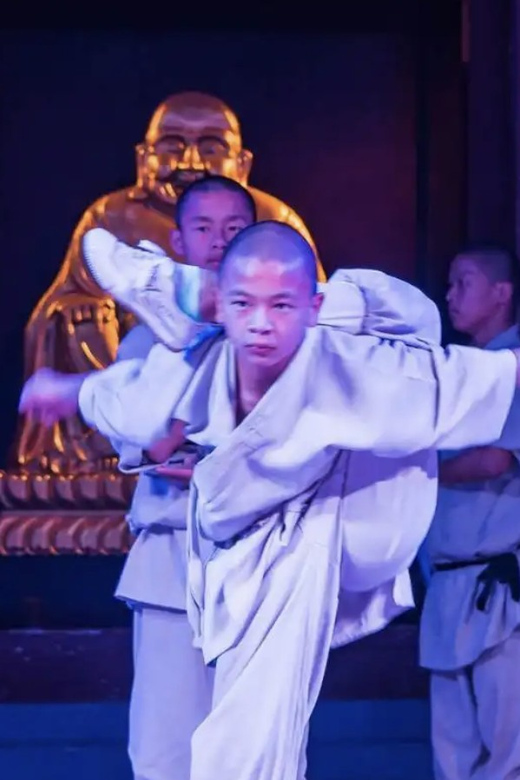Beijing:Bullet Train Day Tour to Shaolin Temple&Martial Arts - The Pagoda Forest and the monks remembered there