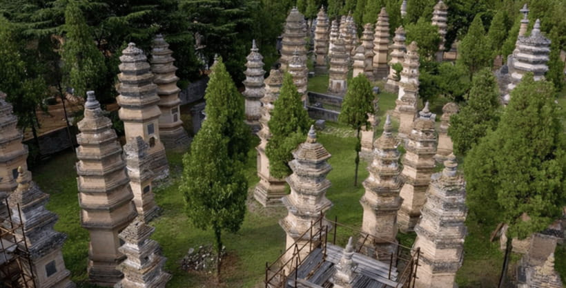 Beijing:Bullet Train Day Tour to Shaolin Temple&Martial Arts - What the US$348 price includes