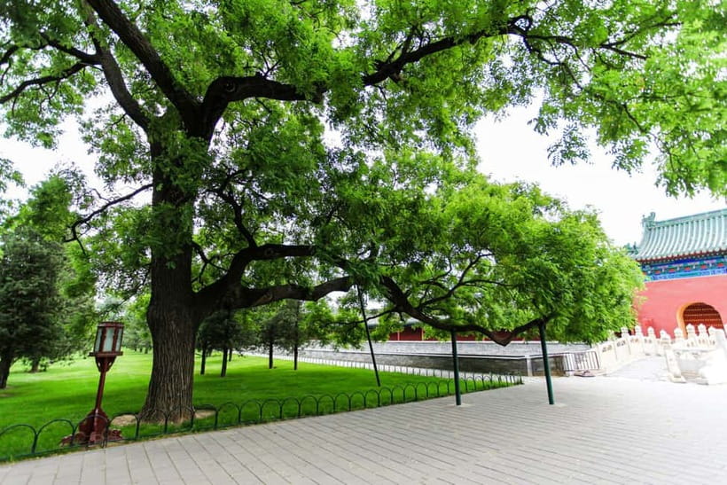 Beijing:Forbidden City Tour—Temple, Summer Palace&Great Wall - Summer Palace, water, gardens, and a full day out