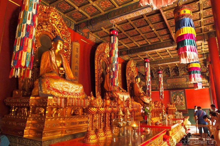 Beijing: Lama Temple, Confucius Temple and Guozijian Museum - Inside Lama Temple and its working courtyards