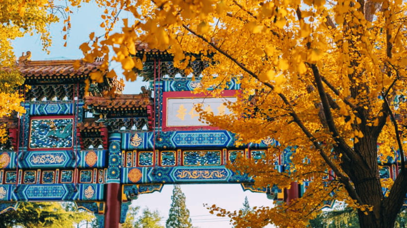 Beijing: Lama Temple (Yonghe Temple) Admission Ticket - Is the $10 ticket good value?