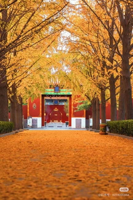 Beijing: Yonghe Lama Temple Tickets with guide (optional) - Why Yonghe Lama Temple deserves a place in your Beijing plans