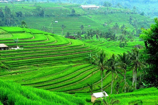 Beratan , lake side temple tour , all inclusive - Taman Ayun, the final temple stop