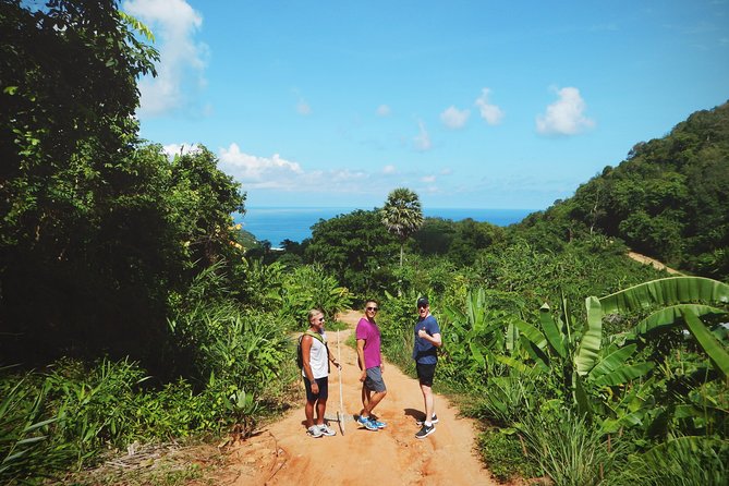 Big Buddha Jungle Trekking and Temple tour with Lunch - A jungle climb before the sightseeing begins
