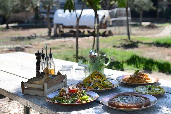 Bio Farm Private Olive Oil Tasting, Farm to Fork Meal & Temple of Poseidon Tour - What the $414.55 price includes