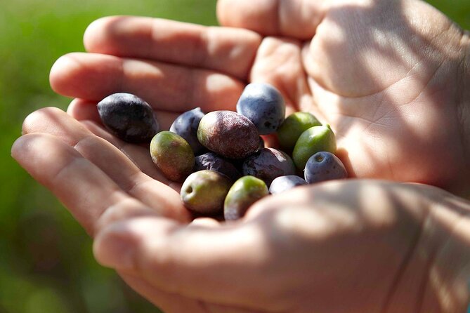 Bio Farm Private Olive Oil Tasting, Farm to Fork Meal & Temple of Poseidon Tour - Practical details that affect your decision