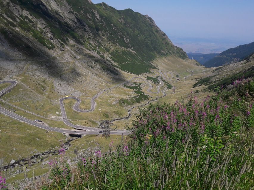 Brasov: Transfagarasan Highway, Balea Lake & Carta Monastery - Carta Monastery: a quiet first stop