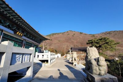Busan Beomeosa Temple & Hongbeopsa Temple with temple lunch