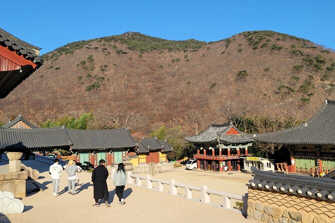 Busan Beomeosa Temple & Hongbeopsa Temple with temple lunch - Guides add context and steady the pace