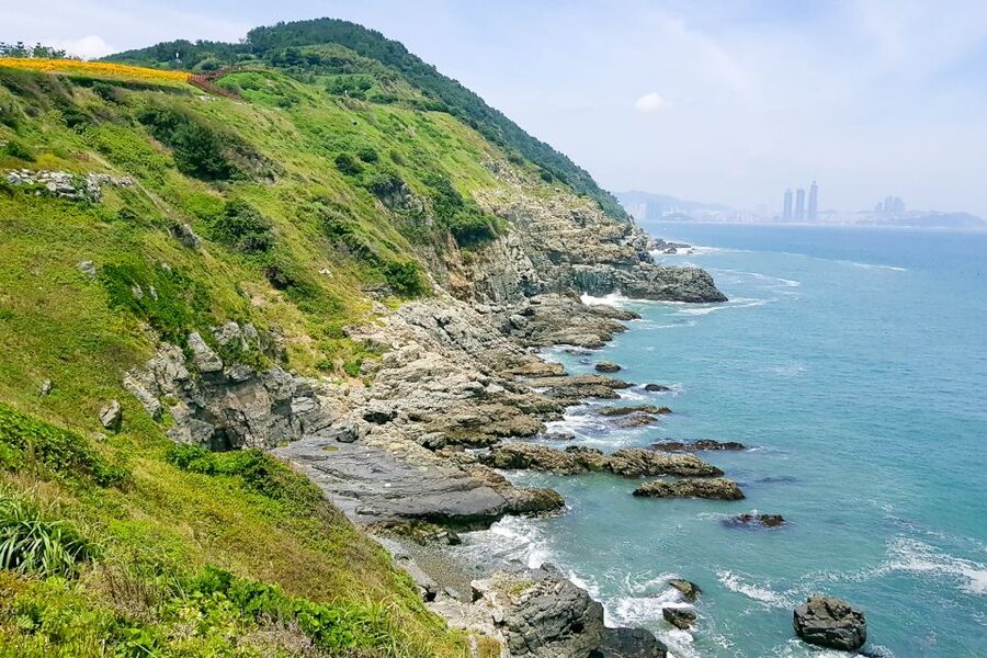 Busan Day Tour with Haedong Yonggungsa Temple & More - Why this route works for a first day in Busan