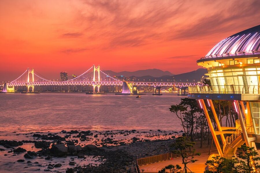 Busan Day Tour with Haedong Yonggungsa Temple & More - Gamcheon Culture Village and the art on the hills