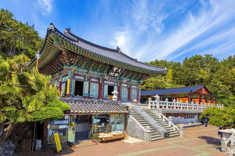 Busan's Best: Sea Temples, Yacht Tour & Sky Capsule Day Tour - Seeing Busan from a yacht
