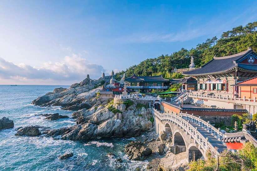 Busan's Best: Sea Temples, Yacht Tour & Sky Capsule Day Tour - Pickup, guides, and day-to-day details
