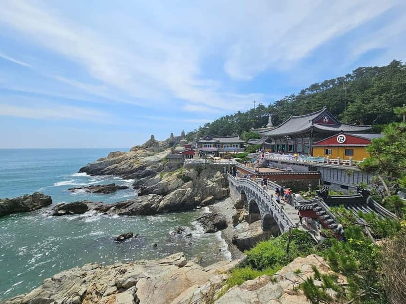 Busan Tour: Gamcheon Village & Yonggungsa Temple + Lunch - Why this Busan day works so well