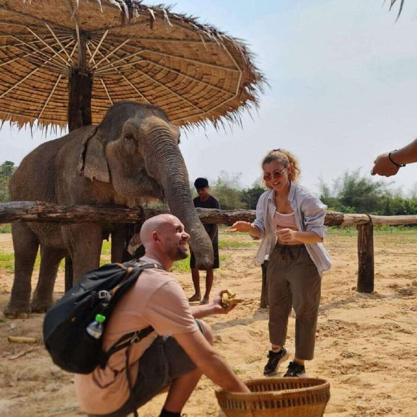 Cambodia Elephant Sanctuary and Banteay Srey Temple Tour - A morning with elephants, not a quick photo stop