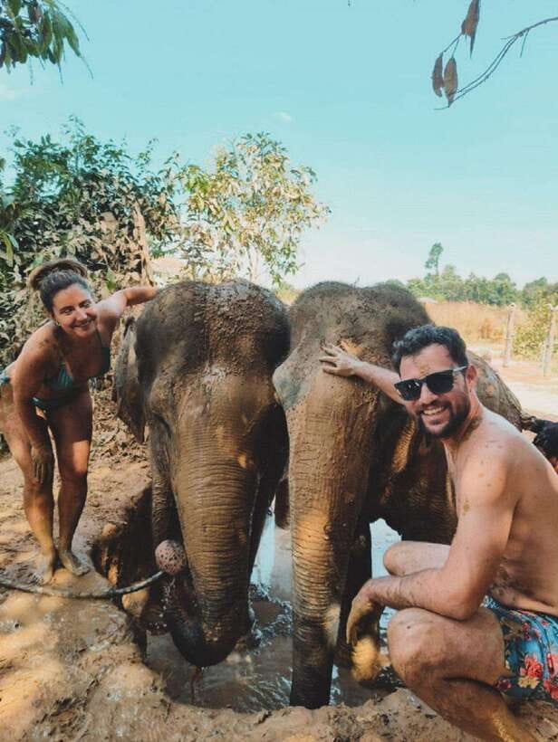 Cambodia Elephant Sanctuary and Banteay Srey Temple Tour - Banteay Srei and the art of small scale
