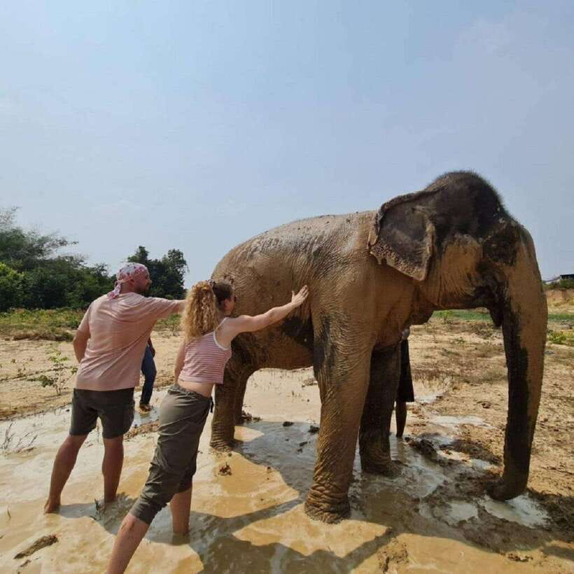 Cambodia Elephant Sanctuary and Banteay Srey Temple Tour - Kbal Spean and the 1000 Lingas under the river