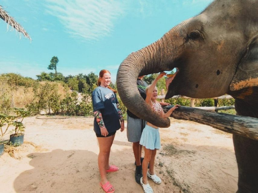 Cambodia Elephant Sanctuary and Banteay Srey Temple Tour - How the five to eight hours are likely to feel
